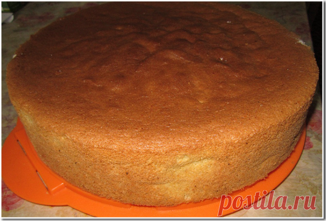 Без заголовка