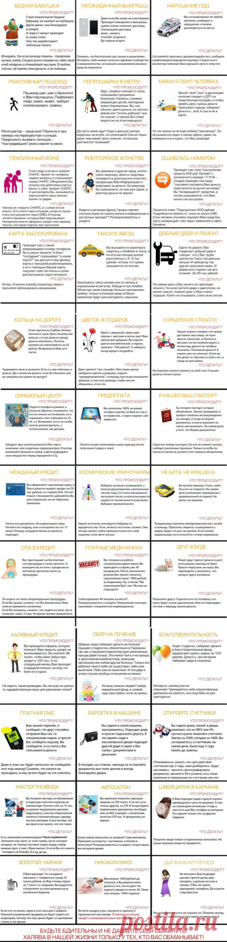 АЗБУКА РАЗВОДОВ. Памятка сознательного гражданина