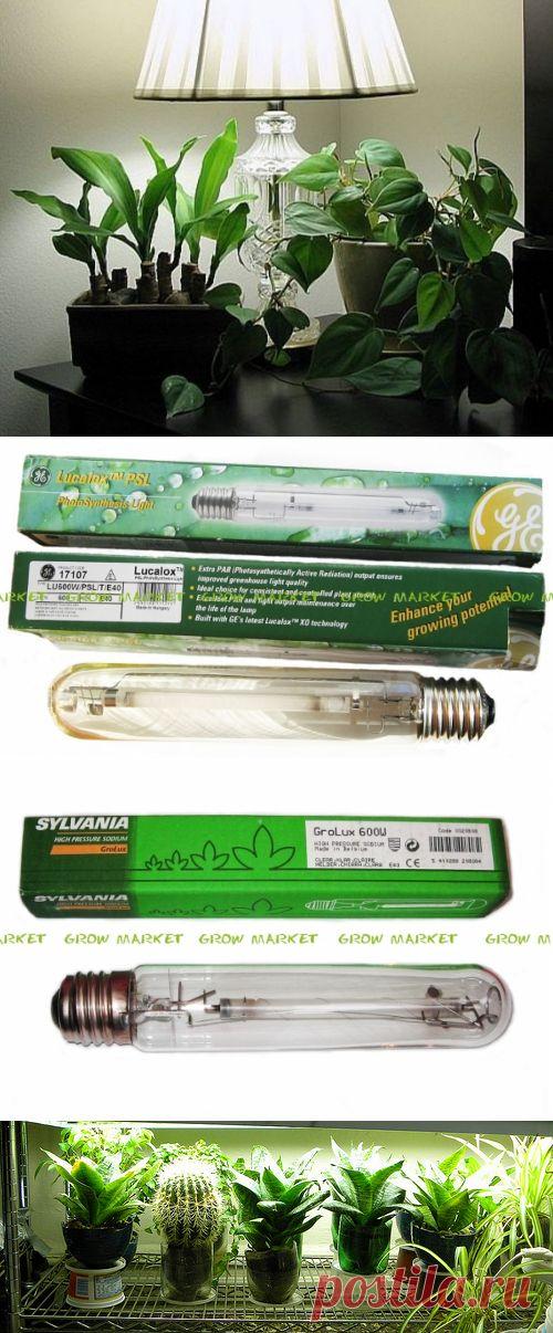 Искусственное освещение для комнатных растений | GreenHome
