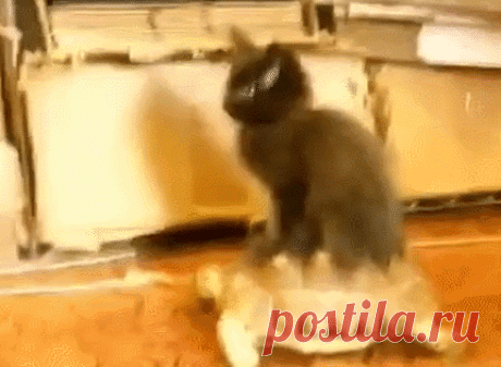 Мой Мир@Mail.Ru