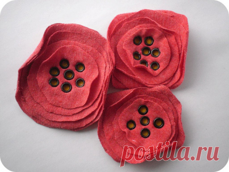 T-Shirt Poppies | Flickr - Photo Sharing!