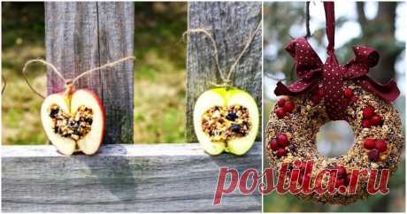 Лучшие идеи кормушек для птиц своими руками ...