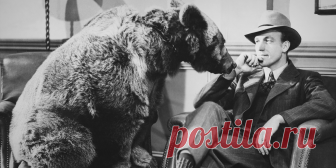 Избегайте этих жизненных установок, эмоций и поступков, чтобы укрепить характер и никогда не пасовать перед трудностями.