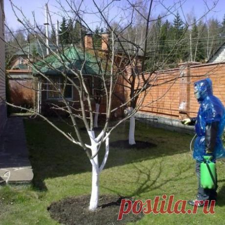 Вредители: шаги к освобождению