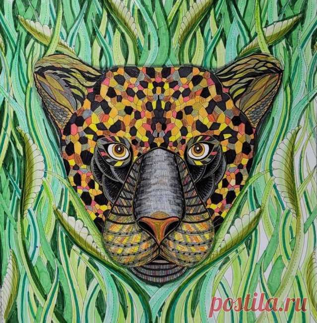 Lesley Forshaw – Millie Marotta
