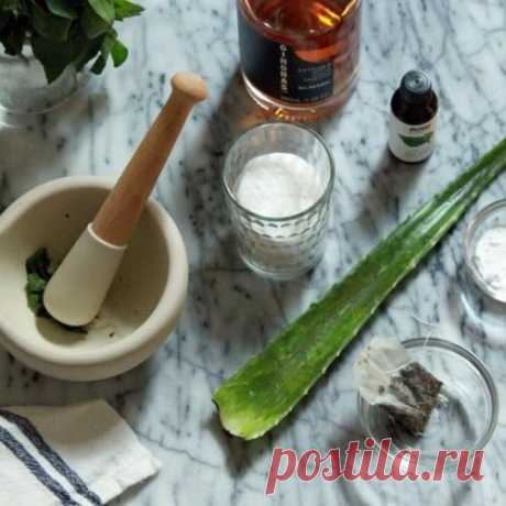 7 натуральных средств, снимающих зуд от комариных укусов