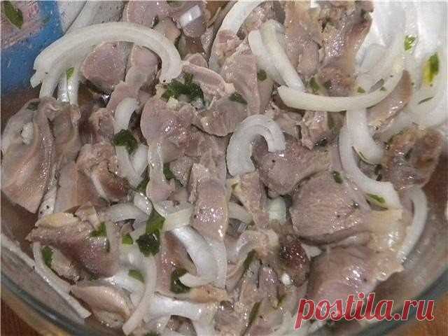 Маринованные куриные желудочки

Ингредиенты:
Куриные желудочки – 0,5 кг
Лук - 1 шт.
чеснок - 5-6 зубчиков
5 % уксус – 0,25 стакана,
подсолнечное масло – 0,5 стакана,
сахарная пудра – 0,5 ч. л.,
соевый соус – 1 ст. л.,
соль, перец – по вкусу.
петрушка – 1 пучок.

Приготовление:

Желудочки отварите в подсоленной воде до готовности часа полтора. Остудите, нарежьте соломкой. Нарежьте полукольцами лук и добавьте к порезанным желудочкам. Влейте соевый соус, насыпьте сахарную пуд...