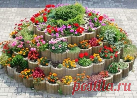клумба