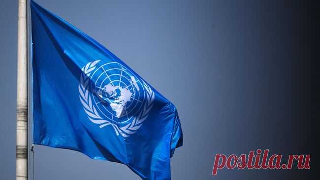 Россия продолжит работу с ООН по доступу продовольствия на мировые рынки