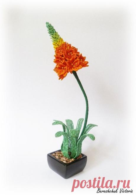 Цветок из бисера птицемлечник. Цветы из бисера мастер класс | Вязание для всей семьи