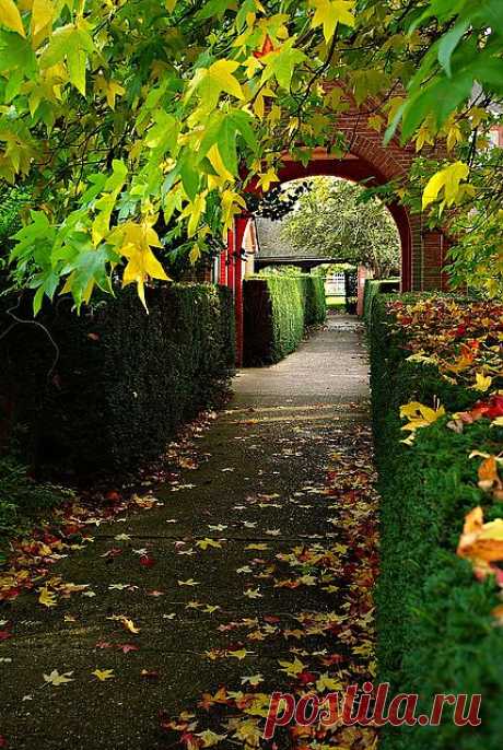 Autumn Arch, Berkshire, England | Amazing Pictures - Amazing Pictures, Images, Photography from Travels All Aronud the World