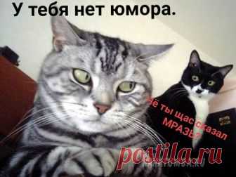 Когда брат сказал это: