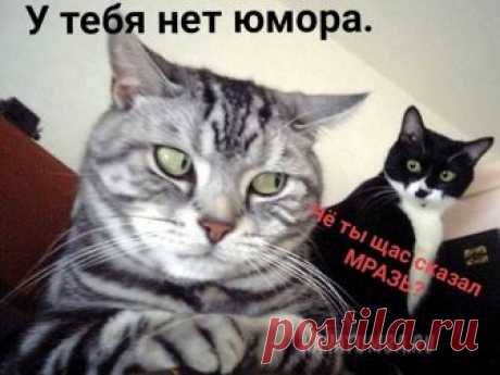Когда брат сказал это: