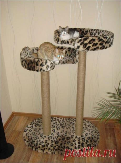 Когтеточка для кошек и лежак: два в одном