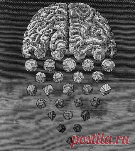 Лучше учиться понимать, чем копить знания. Знать надо необходимый минимум, понимать же надо максимально много. Знание пассивно. Понимание активно. Знание — то, что добыто другими. Понимание — то, что ты добываешь сам.
