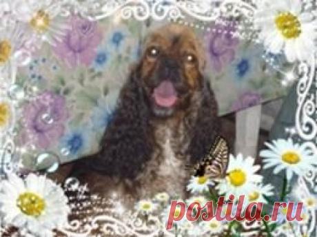 милашка