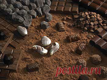 Польза шоколада для здоровья человека