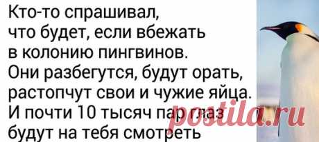 25 твитов от полярника, который без прикрас описывает сложность и великолепие жизни в Антарктиде