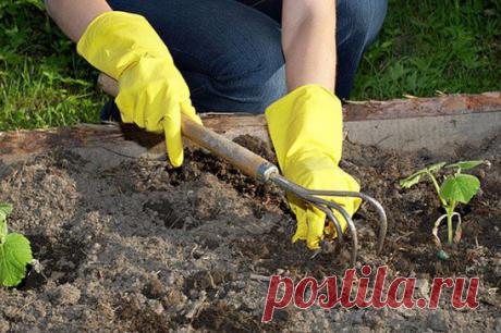 (36) Одноклассники