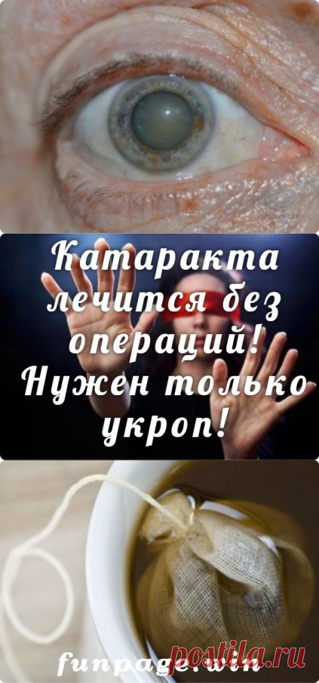 Катаракта лечится без операций! Нужен только укроп! - funpage.win