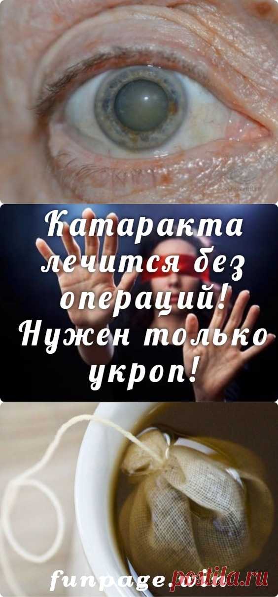 Катаракта лечится без операций! Нужен только укроп! - funpage.win
