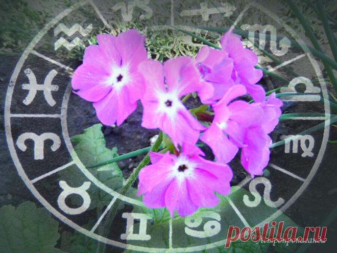 Пока еще можно начать что-то важное. Гороскоп с 17 по 23 мая 2021 | Астропропаганда | Яндекс Дзен
✨ Автор: астролог Нина Стрелкова. ✧ Неделя неоднозначна по аспектам: напряженных и гармоничных приблизительно поровну. И это последняя неделя в мае, когда можно начинать важные дела. Следующая неделя мая будет неблагоприятна для этого, как и большая часть июня. Самое хорошее, что можно ожидать от планет на этой неделе – тригон Солнца и Плутона (точный аспект будет в понедельник, 17 мая)...