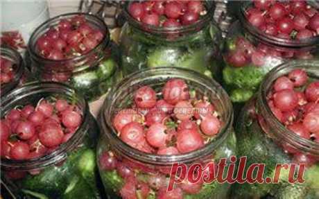 Закатка огурцов » Рецепты, фоторецепты, блюда из мяса, блюда из рыбы, блюда из овощей, выпечка, торты, напитки, джемы, варенье, десерты