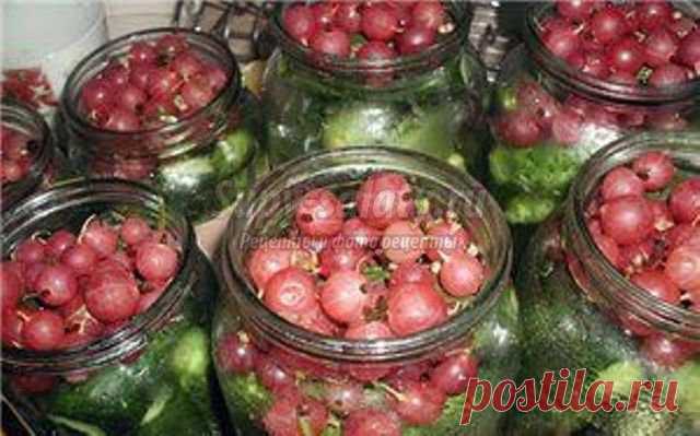 Закатка огурцов » Рецепты, фоторецепты, блюда из мяса, блюда из рыбы, блюда из овощей, выпечка, торты, напитки, джемы, варенье, десерты