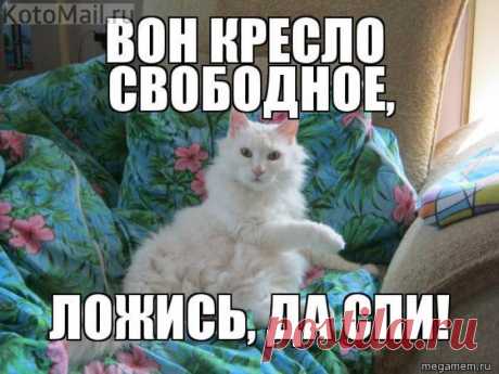 Вон кресло свободное.