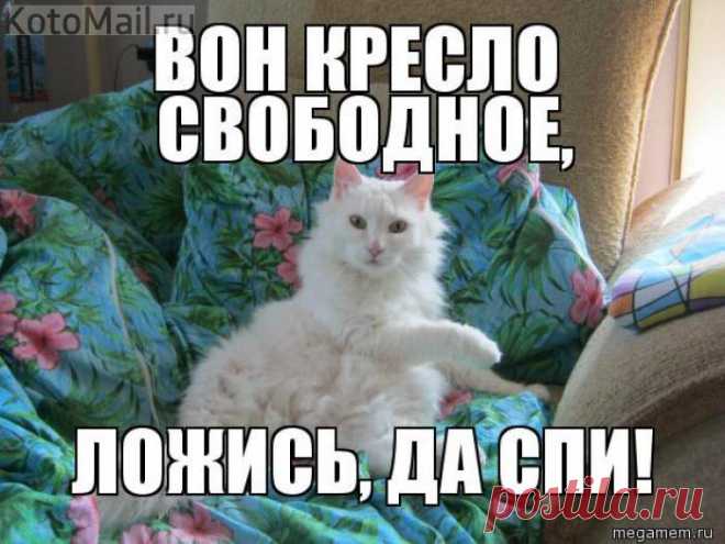 Вон кресло свободное.