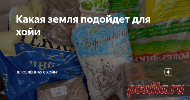 Какая земля подойдет для хойи Статья автора «влюблённая в ХОЙИ» в Дзене ✍: Если в двух словах, то легкая и воздухопроницаемая. Но давайте копать глубже!