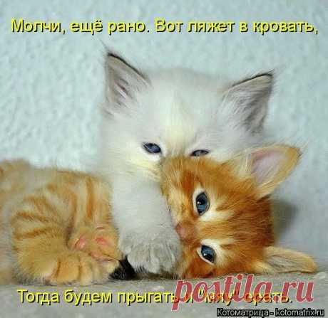 Молчи,плакса! | KotoMail.ru