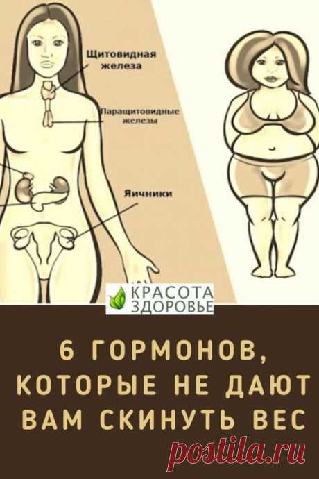Похудение 6 гормонов, которые не дают вам скинуть вес. 
пуловеры zara пончо сетка со спущенными плечами спицами для девочки полных из тонкой пряжи сверху с воротником поло ажурной вставкой спинкой аранами баской вырезом лодочка высоким зигзагами капюшоном косами и круглой кокеткой листочками листьями люрексом норвежским узором открытой спиной удлиненной v образным листья мальчика крючком ажурными рукавами коротким рукавом открытым плечом елочка