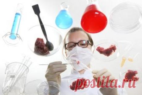 Переворот в диетах: диетологи “реабилитировали” жирную и мясную пищу | Диеты со всего света