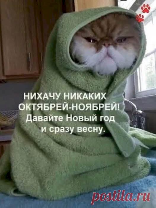 a8134084.jpg (526×701)