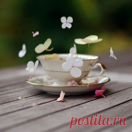 Мудрые слова.