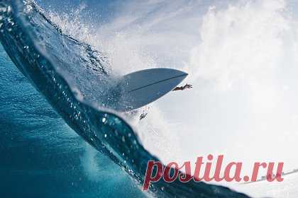 Cерфер упал на акулу, отбился от нее и попал на видео