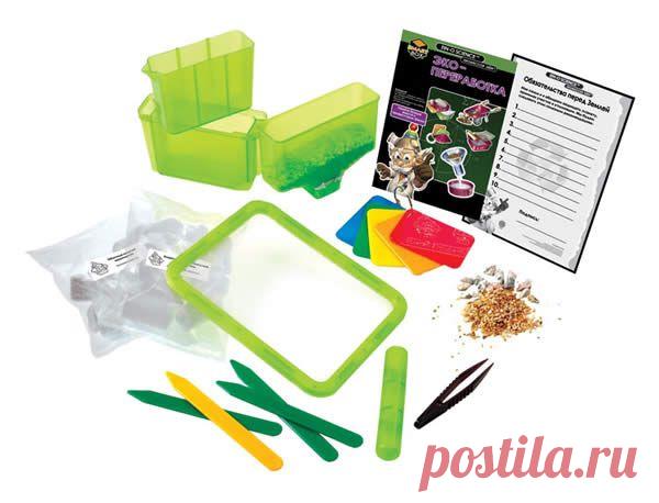 8 экспериментов по экологии научат ребёнка ответственности за свои действия и превратят уборку дома в весёлую игру.