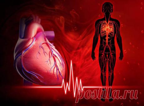Тахикардия: что это и как бороться - ПолонСил.ру - социальная сеть здоровья - 6 мая - Медиаплатформа МирТесен Изменение сердечного ритма – состояние, которое испытывают абсолютно все люди, не зависимо от того, имеются у них заболевания сердца или нет. Другое дело – причины этого заболевания: они могут быть совершенно разными. Ниже мы расскажем о видах тахикардии и как с ними бороться. Изменение сердечного - 6 мая - 43093322512 - Медиаплатформа МирТесен