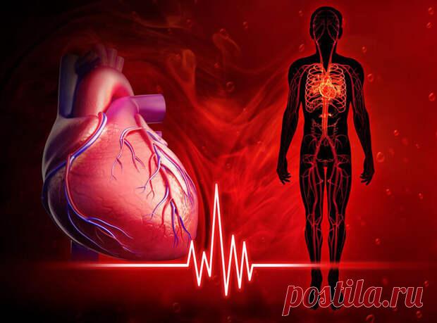 Тахикардия: что это и как бороться - ПолонСил.ру - социальная сеть здоровья - 6 мая - Медиаплатформа МирТесен Изменение сердечного ритма – состояние, которое испытывают абсолютно все люди, не зависимо от того, имеются у них заболевания сердца или нет. Другое дело – причины этого заболевания: они могут быть совершенно разными. Ниже мы расскажем о видах тахикардии и как с ними бороться. Изменение сердечного - 6 мая - 43093322512 - Медиаплатформа МирТесен
