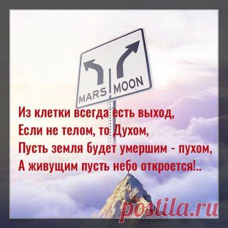 Из клетки всегда есть выход, если не телом, то Духом…
Ффото с просторов интернета Ффото с просторов интернета Из клетки всегда есть выход, Если не телом, то Духом, Пусть земля будет умершим — пухом, А живущим пусть небо откроется! И не страшно до звёзд расстояние, Ты больше, чем мир и Вселенная, Жизнь твоя современная Без любви на успех не настроится. Уйдут все с пути препятствия, […]
Читай дальше на сайте. Жми подробнее ➡