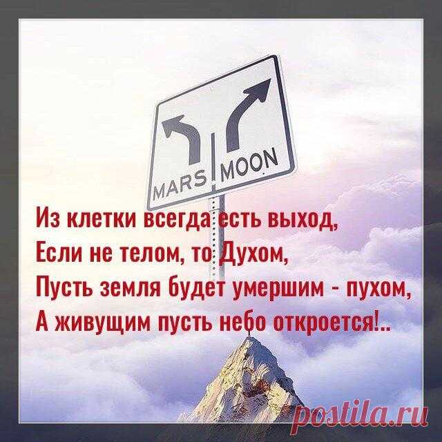 Из клетки всегда есть выход, если не телом, то Духом…
Ффото с просторов интернета Ффото с просторов интернета Из клетки всегда есть выход, Если не телом, то Духом, Пусть земля будет умершим — пухом, А живущим пусть небо откроется! И не страшно до звёзд расстояние, Ты больше, чем мир и Вселенная, Жизнь твоя современная Без любви на успех не настроится. Уйдут все с пути препятствия, […]
Читай дальше на сайте. Жми подробнее ➡