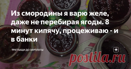 Из смородины я варю желе, даже не перебирая ягоды. 8 минут кипячу, процеживаю - и в банки У нас созрела черная смородина (красную я не люблю, поэтому у меня её нет, мама уже собрала у себя). Что с ней делать, если варенье мы не любим - этот вопрос я себе уже 3 года не задаю. Нашла классный рецепт смородинового желе на зиму в стареньком журнале с черно-белыми картинками ещё. Теперь, вот уже третий год, все ягоды перевариваю в желейку, как называет её мой младший сын.  Храня...