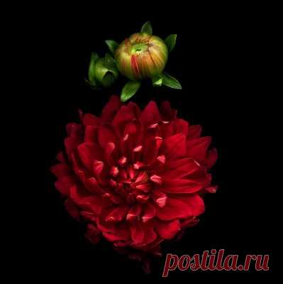 Перчатки с анатомическим пальцем.