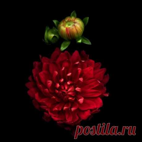 Перчатки с анатомическим пальцем.