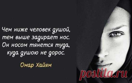 (48) Одноклассники