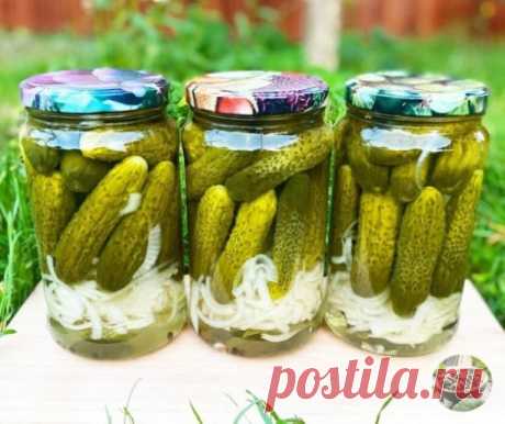 МАРИНОВАННЫЕ ОГУРЧИКИ - ПО-БОЛГАРСКИ
 
Огурчики по этому рецепту получаются хрустящими, вкусными. Рекомендую попробовать!
 
Ингредиенты на литровую банку: 
 
Соль крупная - 1 ст ложка без горки 
Сахар - 2 ст ложки без горки 
Лавровый лист -1 шт 
Перец чёрный горошком - 10 шт 
Лук репчатый - 1 шт средний порезать полукольцами 
Уксус 9% - 4 ст ложки 
Огурчики - мелкие лучше 
 
если у вас 2-х литровые банки, соответственно умножаем все ингредиенты в два раза. 
 
В стерилизова...