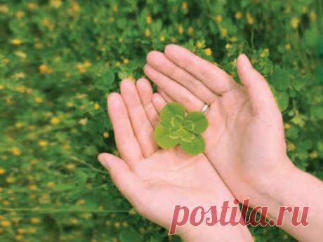 Каким Знакам Зодиака повезет в 2016 году