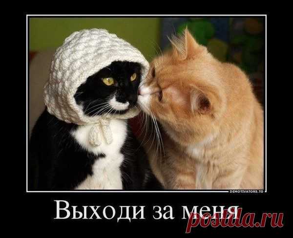 И правда!А почему бы и нет?!