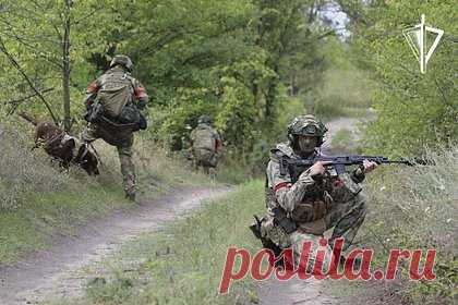 В ЛНР росгвардейцы нашли схрон с оружием и боеприпасами в подвале дома. В Луганской народной республике (ЛНР) росгврадейцы нашли схрон с оружием и боеприпасами в подвале дома. Сотрудники спецназа обследовали заброшенный дом. Там они нашли тайник, оставленный, предположительно, украинскими формированиями. Из него изъяли ручной противотанковый гранатомет с 30 выстрелами к нему.